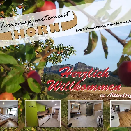 Apartment Ferienapartment Horn *